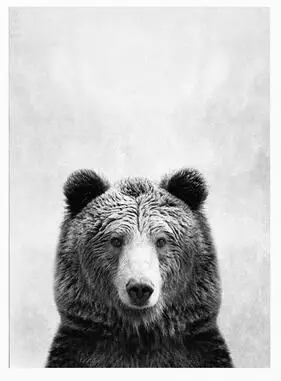 

Больше стилей черно-белые Животные медведь художественная пленка печать Шелковый плакат домашний Настенный декор 24x36 дюймов
