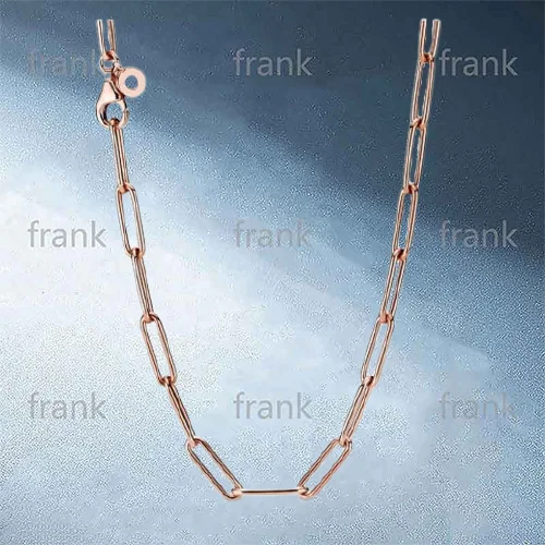 

2020 New 925 Silver Fashion Rose Long Chain Chain Chain Necklace 388349