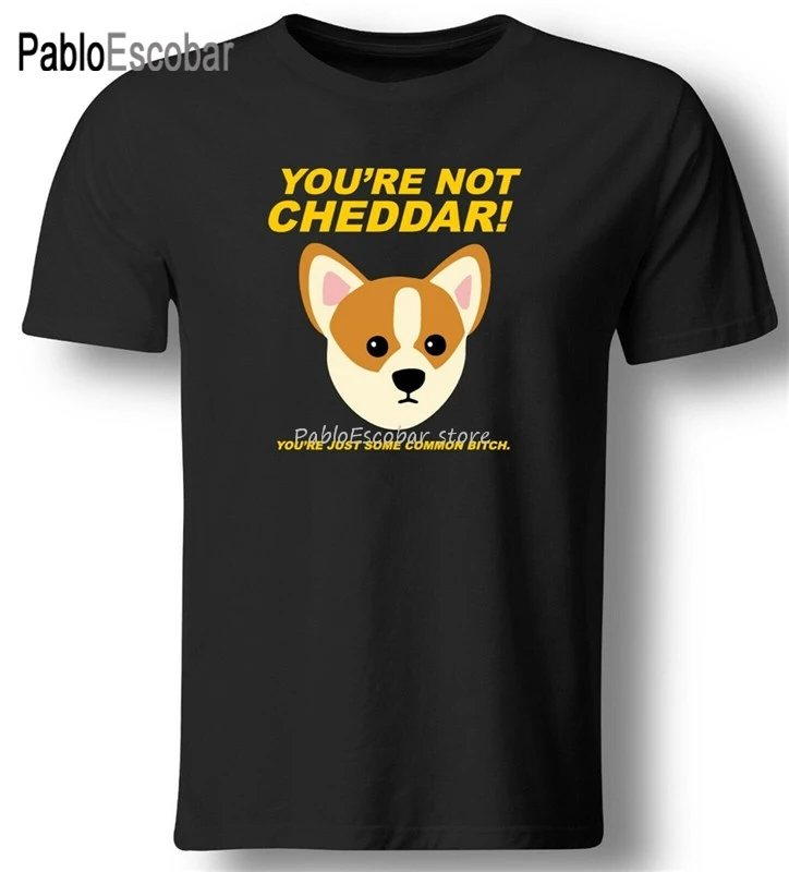 

You'Re Not Cheddar You'Re Just Some Common Nine Nine T-Shirt Brooklyn 99 Holt Harajuku Hip Hop Tee Shirt