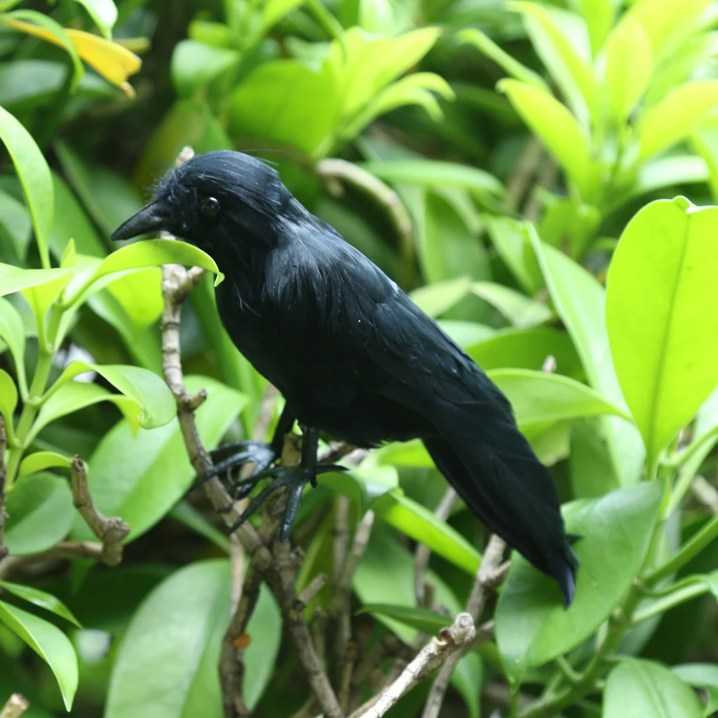 

Черная пушистая ворона, садовая птица, отпугивающая пушистая мышь, прибор для борьбы с вредителями, украшение для птиц, украшение на дерево ...