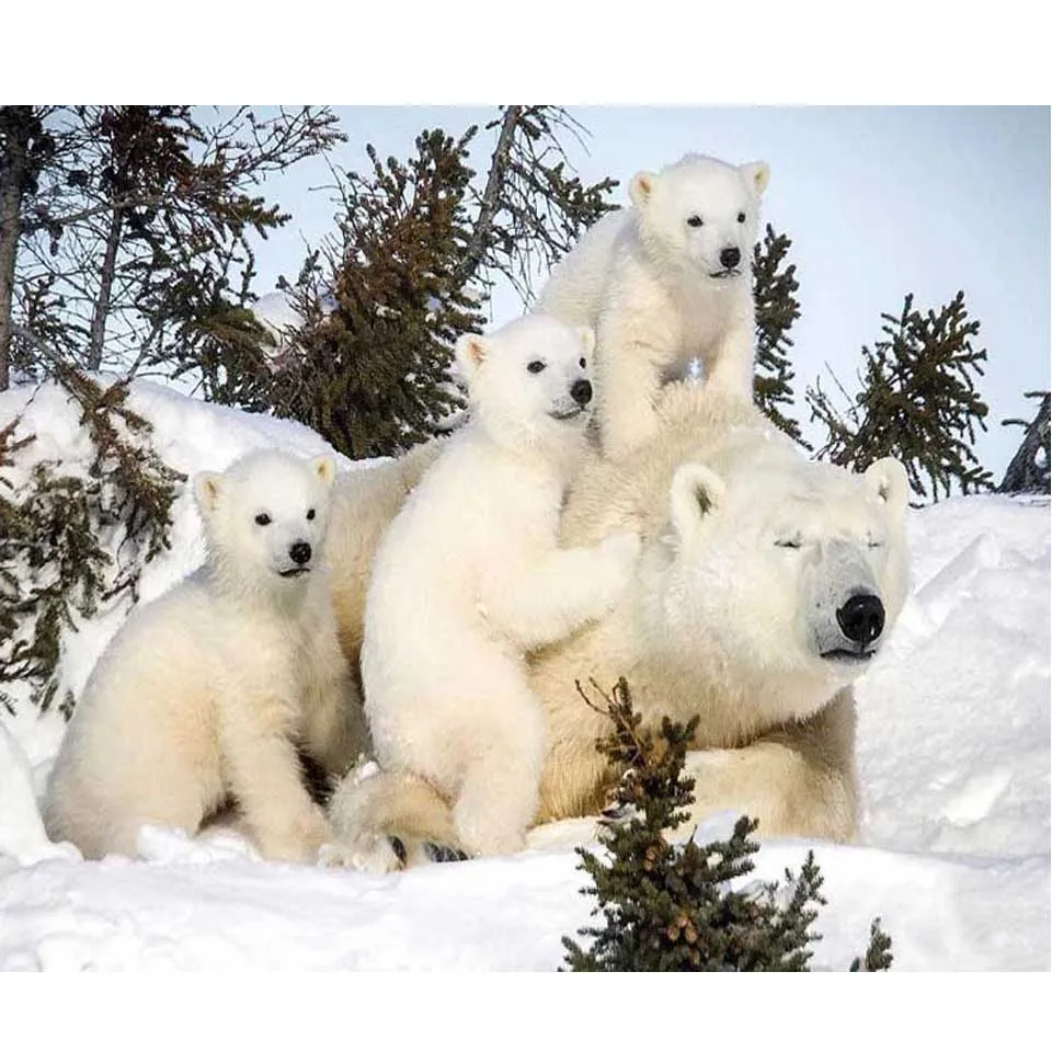 5D DIY Алмазная картина голый Восточная мозаика для девочек вышивка продажа полный