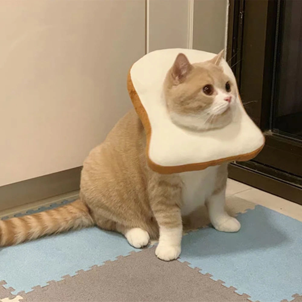 

Ошейник для кошек, милый ошейник для кошек, хирургический, заживляющий раны, защитный конический ошейник для кошек, Елизаветинский ошейник