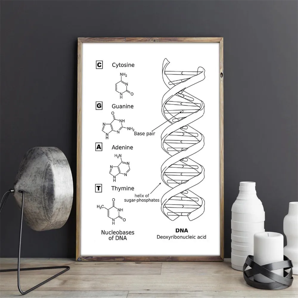 Черно-белая модель DNA настенные художественные плакаты и принты биология