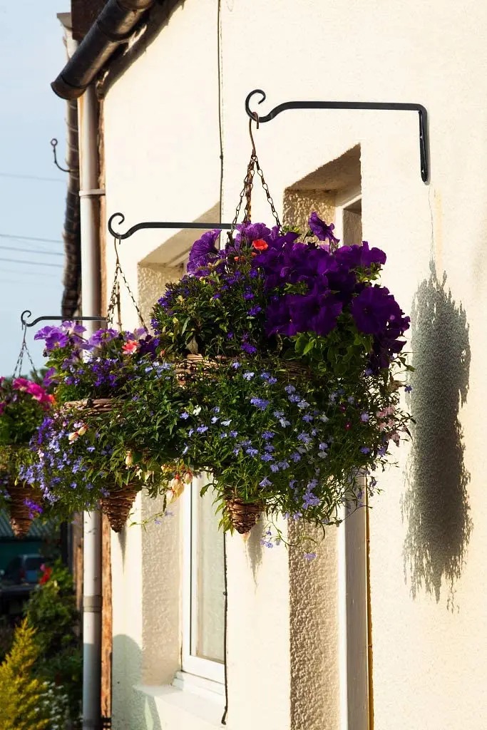 

2PCS Wall Hook Hanging Plant Bracket Decorative Straight Plant Hanger for Bird Feeders, Planters, Lanterns, Indoor Outdoor