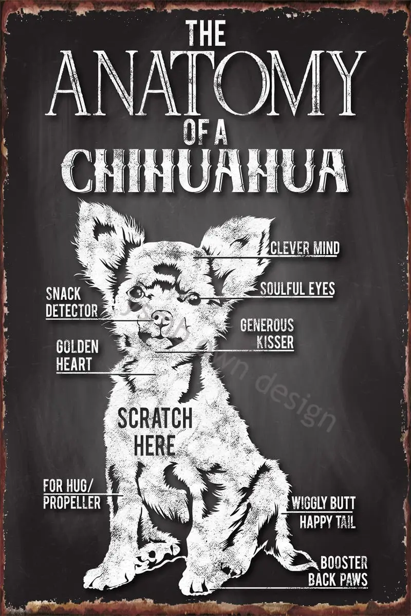 

Жестяной винтажный металлический знак в стиле ретро для чихуахуа