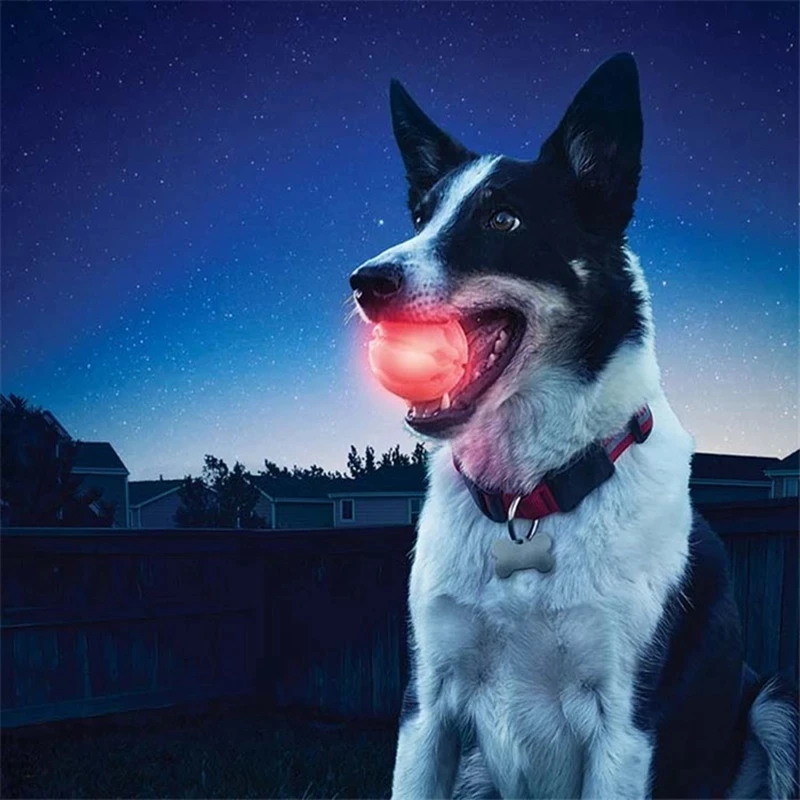 

Funny Pets Dog Toys Ball LED Glowing Streak Dog Ball Blinking Pet Lights Up Supplies For Night Play Dogs Play Fetching Squeak