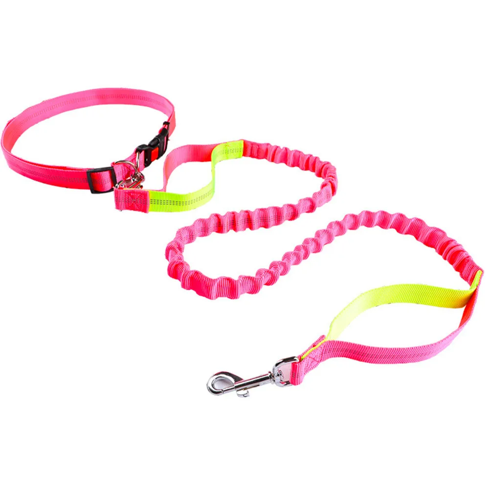 

Straight New Elastic Running Traction Belt Dog Collars Leads Leash Harness Multifunctional Retractable Pet Products The Price Of