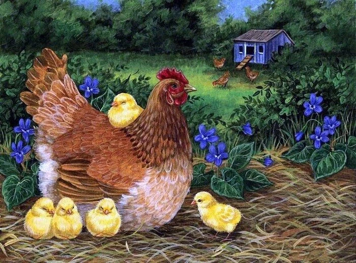 

Jmine Div 5D Farm Chicken Full Diamond Painting cross stitch kits art High Quality Animal 3D paint by diamonds