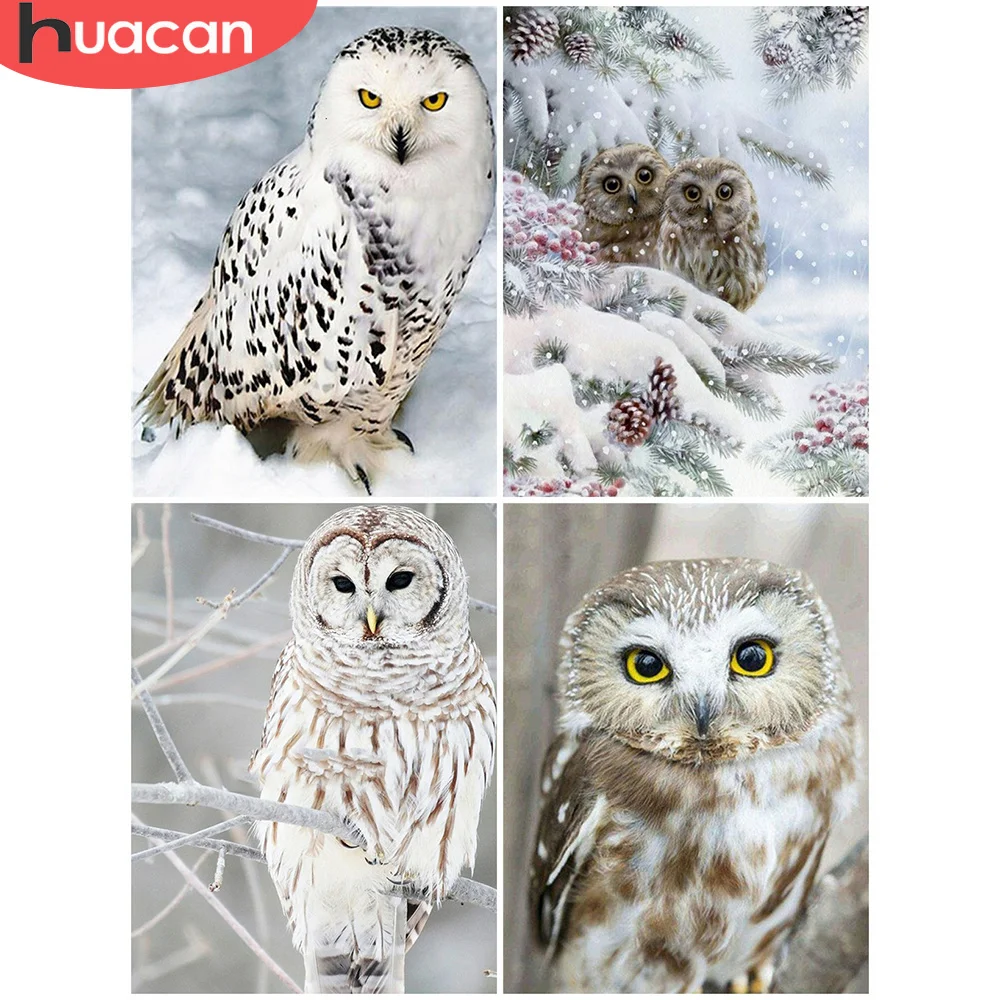 

Алмазная вышивка с изображением совы, квадратные Стразы