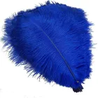 10-200 шт.лот Королевский синий страусиные перья сделай сам украшения для свадебной вечеринки платья Шлейфы для рукоделия аксессуары для рукоделия 15-70 см