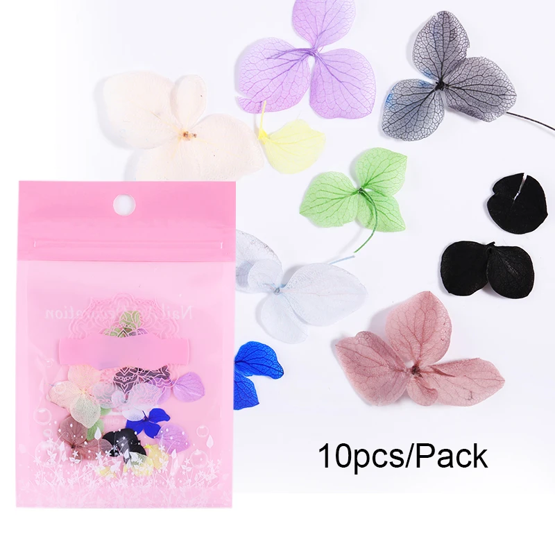 10 Pcs 100 шт сушеные цветы ногтей украшения DIY натуральный прессованный Флора гель маникюр цвета наклейки лист 3D Декор ногтей советы - Цвет: 10 Pcs