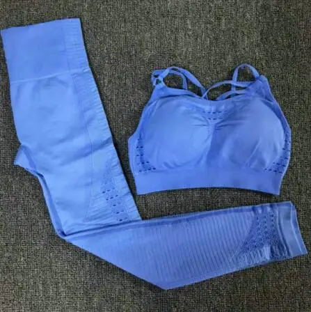 1728 blue sets Бесшовный комплект для йоги, женская одежда для фитнеса, спортивная одежда, женские леггинсы для спортзала, мягкий пуш-ап спортивный бюстгальтер на бретелях, 2 шт., спортивные костюмы - Цвет: 1728 blue sets