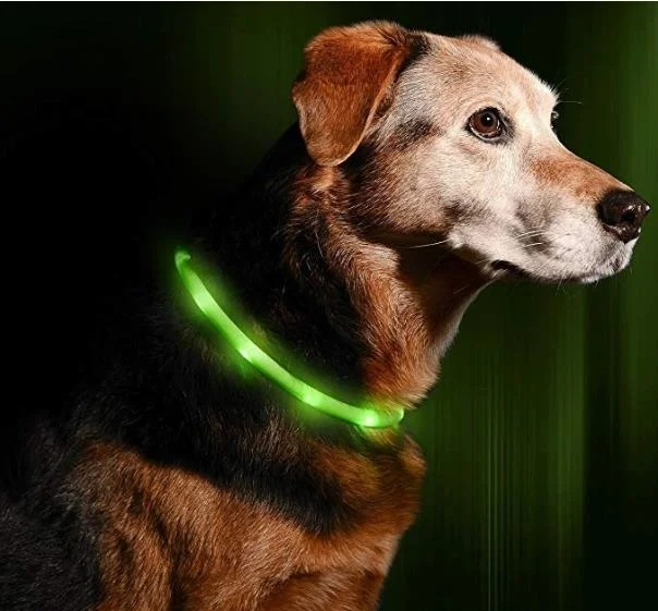 

Перезаряжаемый собачий ошейник 2021, горячая Распродажа, собачий ошейник на Рождество, лучшие приветственные модные аксессуары