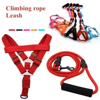 classic monochrome pet dog collar harness leash soft pet cat walking harness lead colorful and durable traction rope nylon 120cm