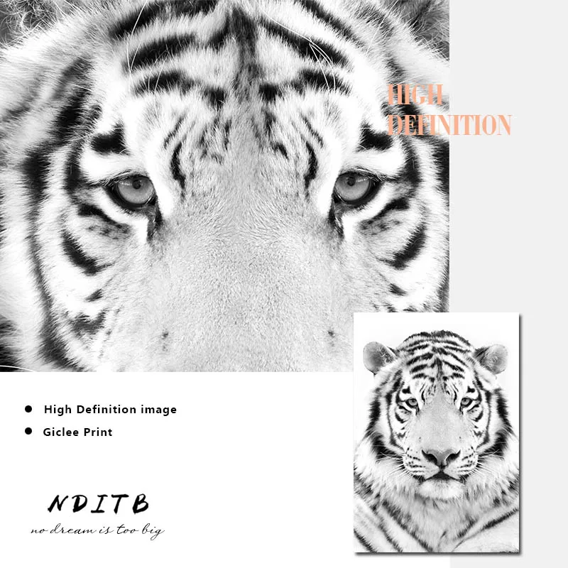 Белый плотный постер с животными и принт настенное искусство Картина на холсте