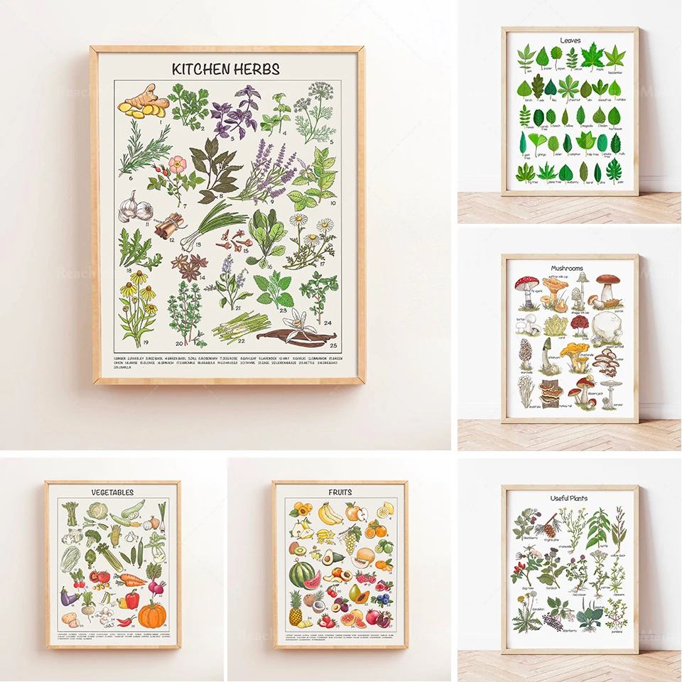 

Educational posters for kitchen herbs, fruits and plants, posters for home school Montessori classrooms, downloadable prints for