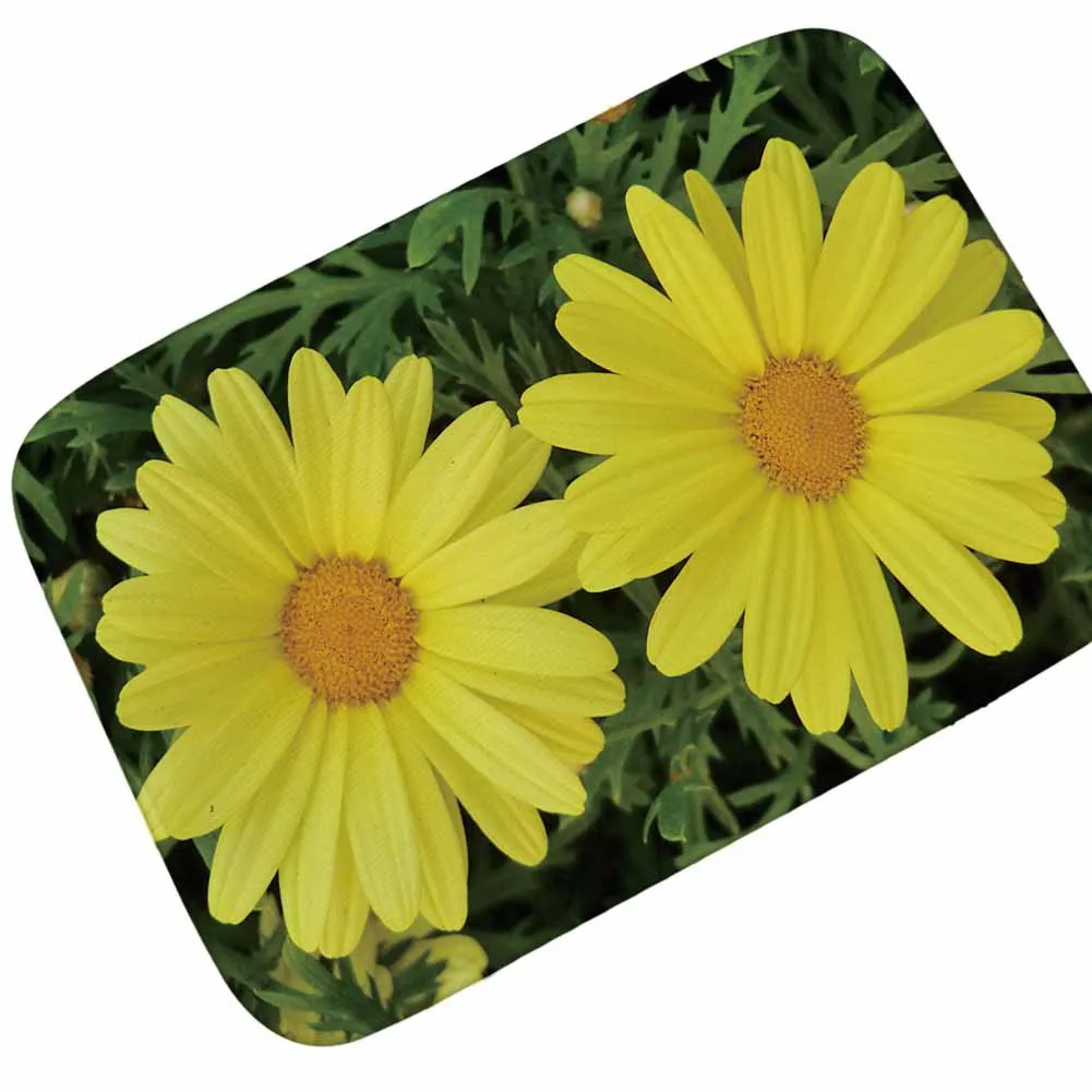 Zeegle 3D Цветочный Коврик с рисунком Нескользящие Кухня коврик фланелевый