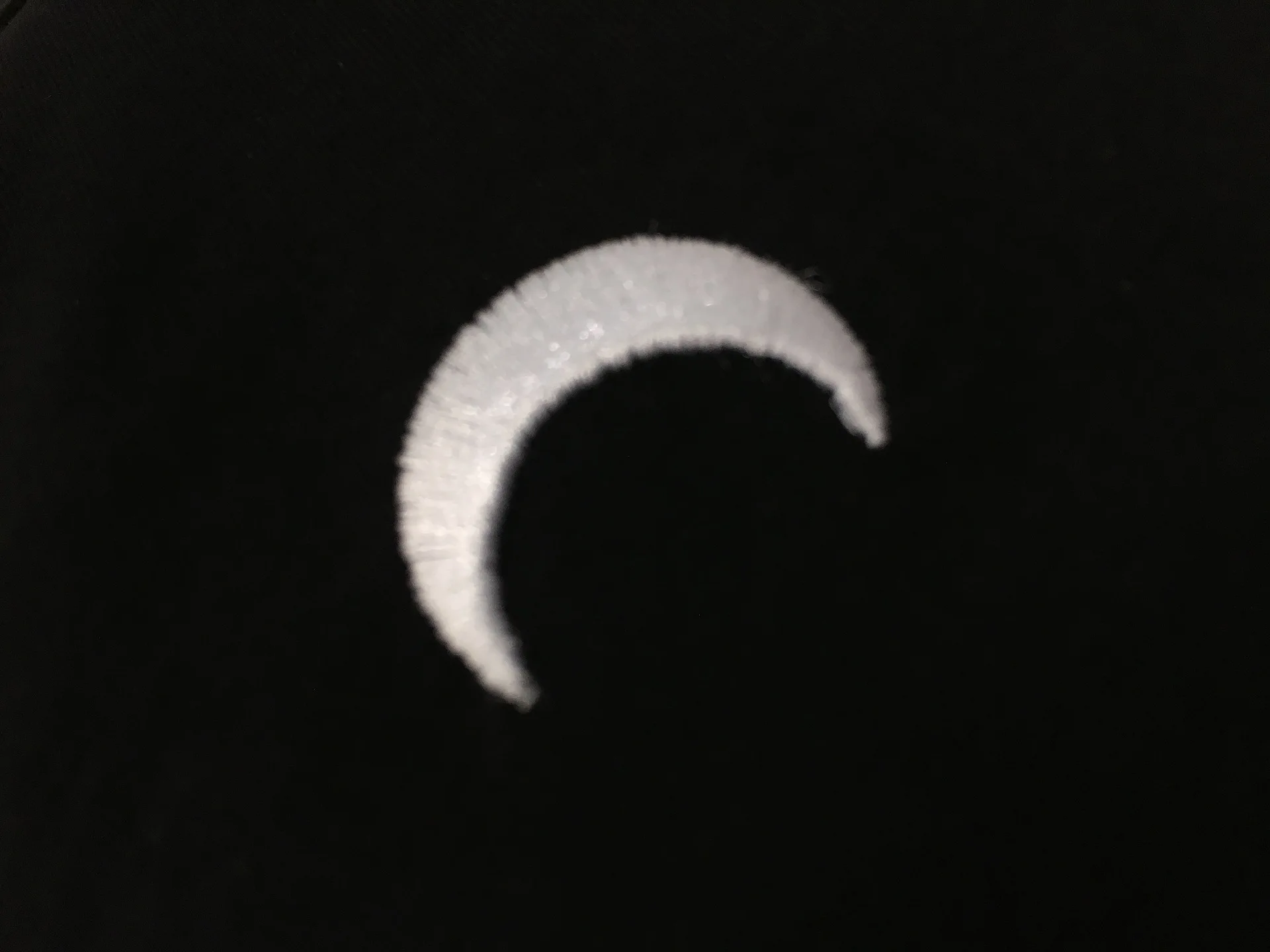 

Brand Fashion Women High Luxury Summer Cotton Round Neck Moon Embroidered Short Sleeve Slim T-Shirt Tees Top