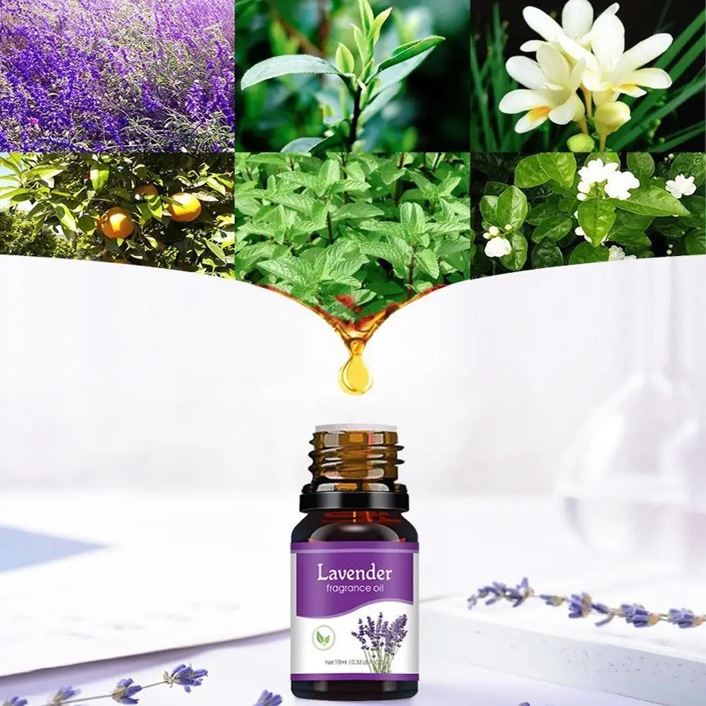 

10ml Natural Essential Oil Basil Midnight Rose Summer Rose Lemon for Candle Soap Making Perfume Fragrance Oil Air Fresh Diffuser