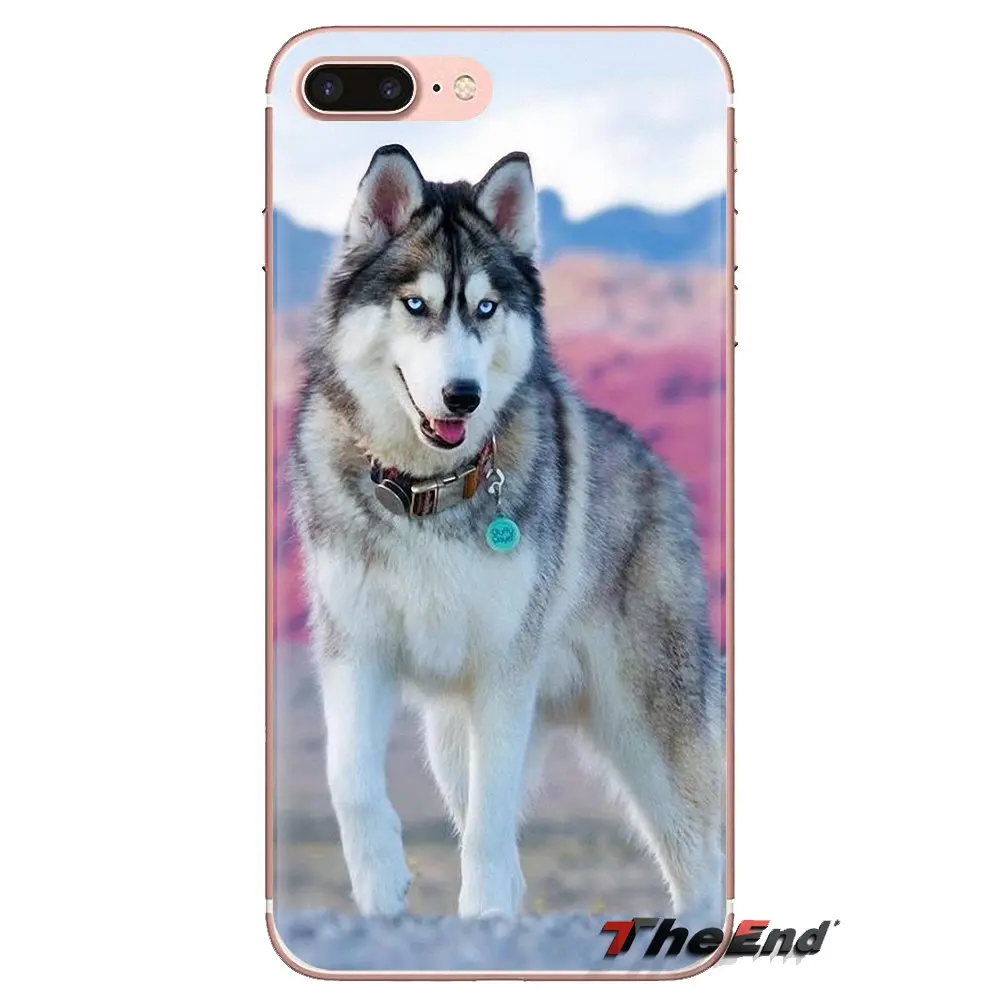 For Huawei P Smart Y6 P8 P9 P10 Plus Nova P20 Lite Pro Mini 2017 SLA-L02 SLA-L22 2i Transparent TPU Cases Covers husky puppy dog |