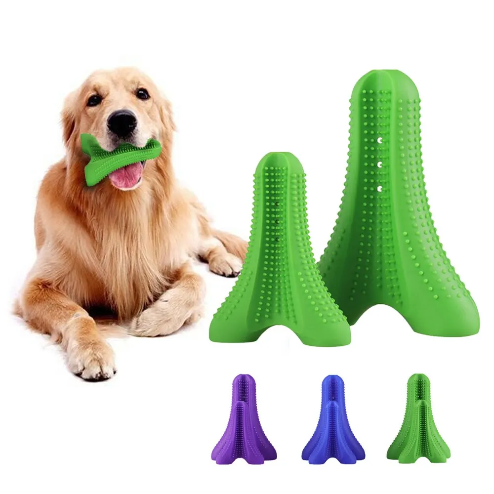 Игрушки для домашних животных собак Зубная щётка Укус устойчивостью кости