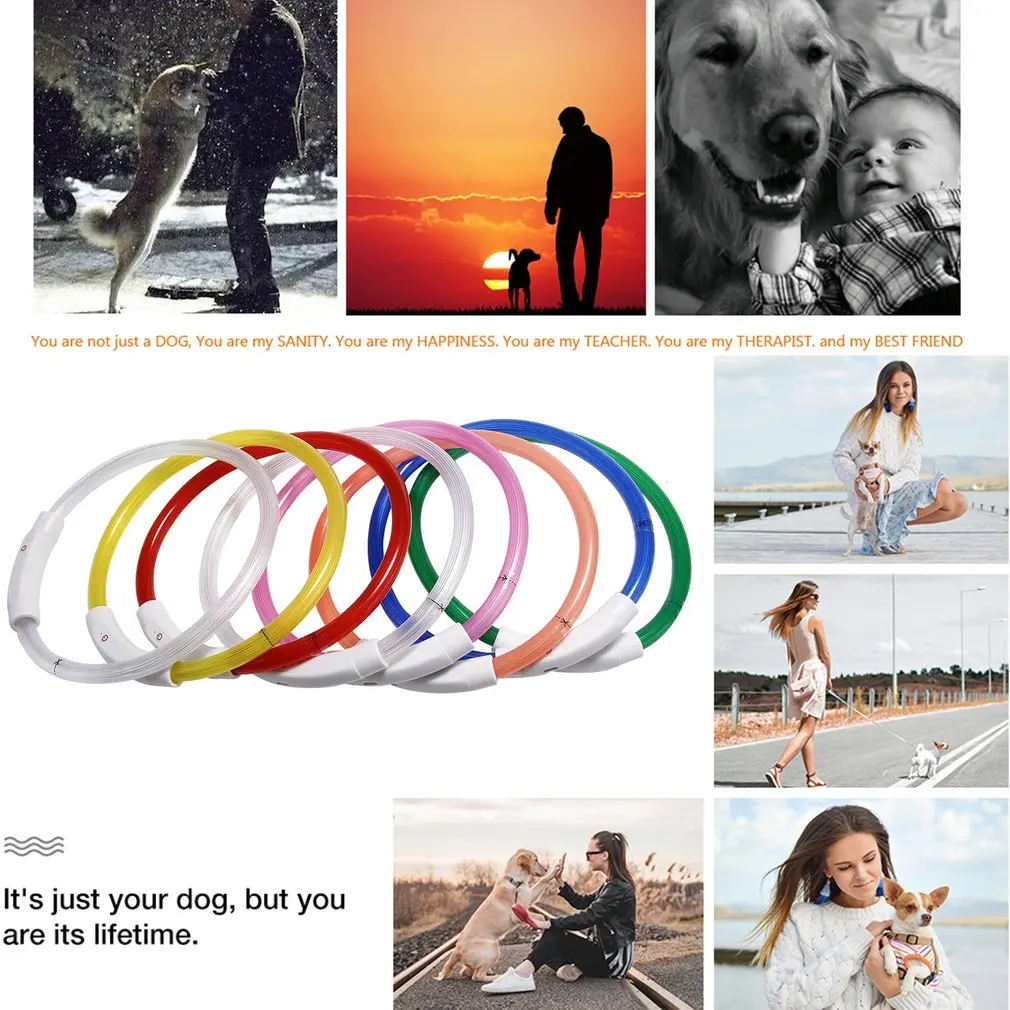 Ошейник для домашних животных со светодиодной подсветкой и USB-зарядкой | Дом сад