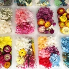1 коробка сушеных цветов из эпоксидной смолы, сухие растения для ароматерапии, подвеска в виде свечи, ожерелье, изготовление ювелирных изделий, аксессуары сделай сам