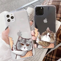 dont kiss my cat phone case for for iphone 12 mini se 2020 5 5s 6 6s plus 7 8 plus x xr xs 11 pro max fundas coque