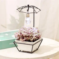 1 set creative flower bowl iron rack flowerpot mini succulent planter bonsai storage pot gardening supply with light bulb