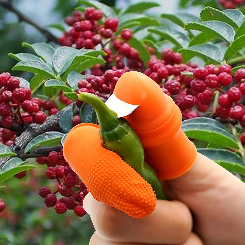 

Garden Tools