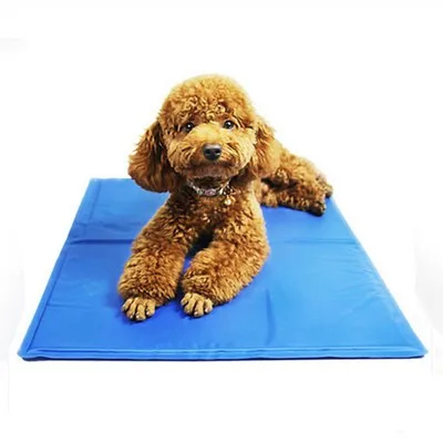 

Pet Sleeping Ice Pad Gel Waterproof Dog Cooling Mat Kennel Puppy Summer Keep Cool Mattress Bed Ice Silk Cold Blanket Cushion