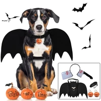 legendog halloween pet costume set creative dog bat costume with leash pumpkin bell o ring pet supplies clothing accessories