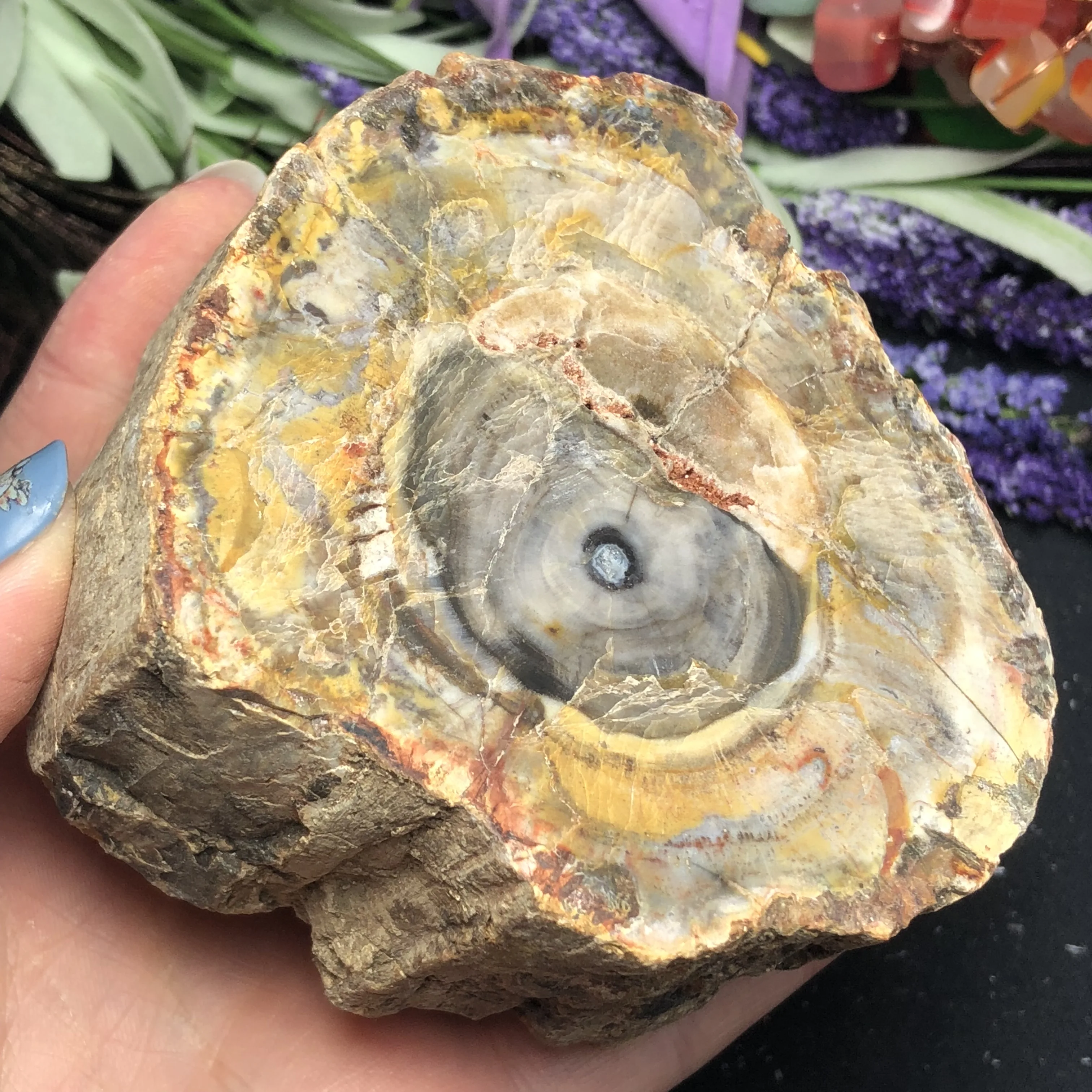 Натуральный каменный камень из окаменелого дерева натуральный минеральный