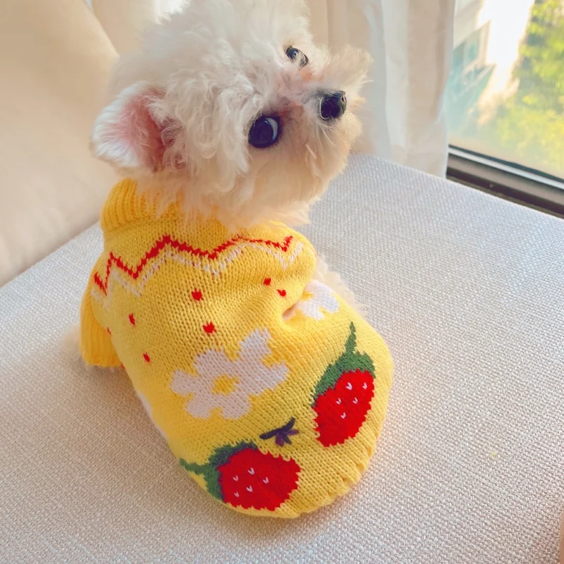 

Свитер для собак, цветочный кружевной жилет, рубашка, свитер для домашних животных, Осень-зима, теплая куртка для маленьких чихуахуа, Осень-з...