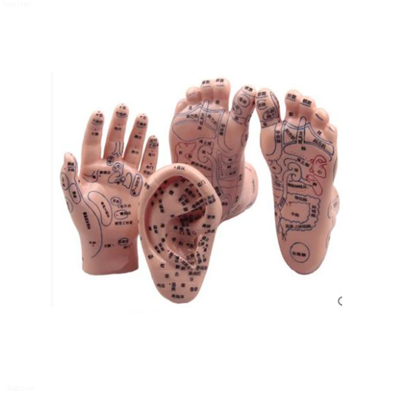 Очки массаж высокой четкости модель уха без семени аурикулярное Применение тела