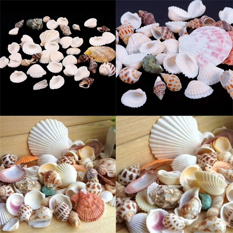 

Смешные морские ракушки, ракушки для творчества, аквариума, морские декоративные украшения, натуральные мини-ракушки, около 100 г
