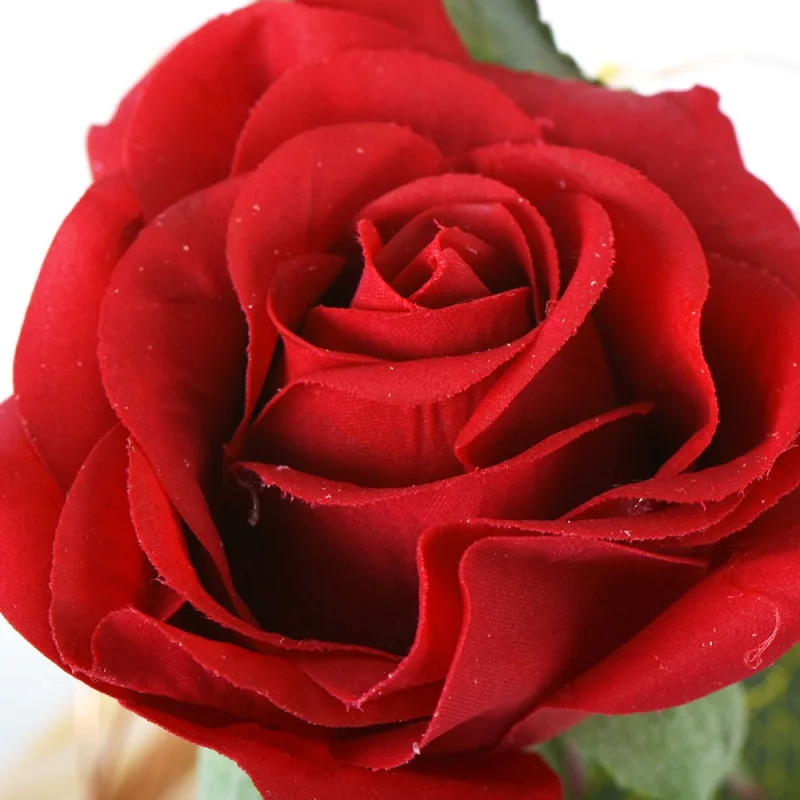 

Double Rose Beauty and the Beast Red Rose LED Light String Gift Women Girls Birthday Valentine's Day Mother's Day Gifts