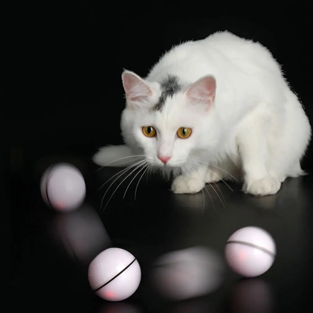 Игрушки для кошек перезаряжаемый мяч интерактивный плохой вращающийся новейший