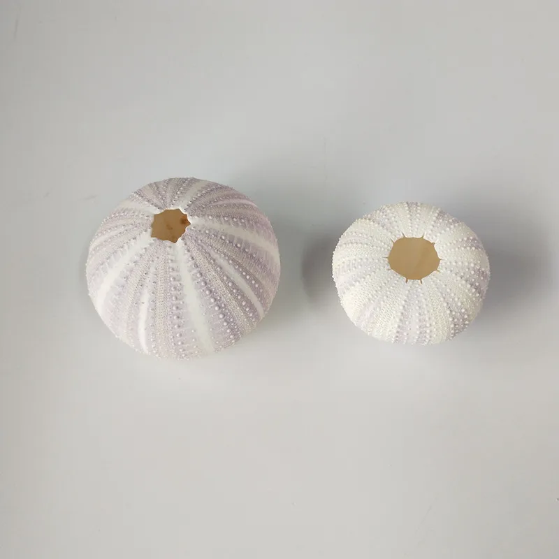 Счастливый поцелуй новинка 6 шт. натуральная мечта фиолетовый морской урчин