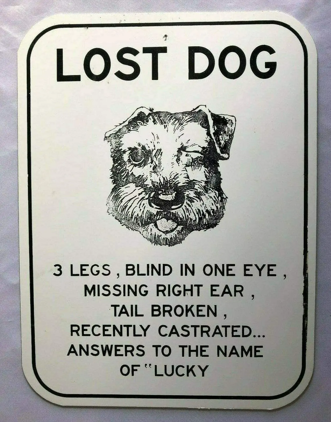 Потерянная собака 3 лапы слепой хвост сломанный отлитый. Название счастливый