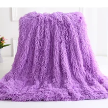 1PCS Best Selling Autumn Winter Children's Plush Blanket Blanket Soft Bedspread Bed Warm Fluffy Faux Fur For Sofa Manta (2)