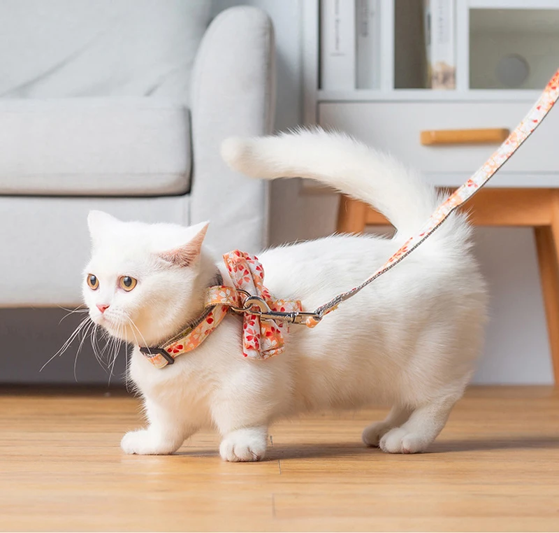 Милый поводок для кошек и собак модный ошейник питомцев регулируемый поводка с