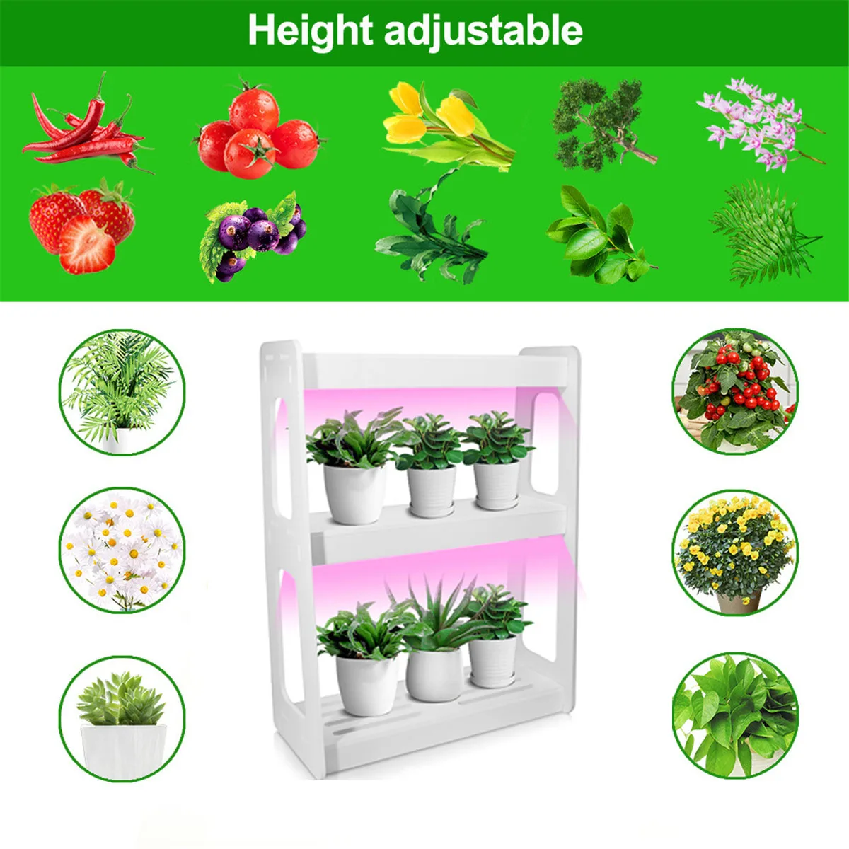

Smart Herb Garden Kit LED Grow Light Hydroponic Growing Multifunction Desk Lamp Garden Plants Flower Hydroponics Grow Tent Box