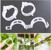 50100pcs plastic plant clips supports connects reusable protection grafting fixing tool gardening supplies for vegetable tomato