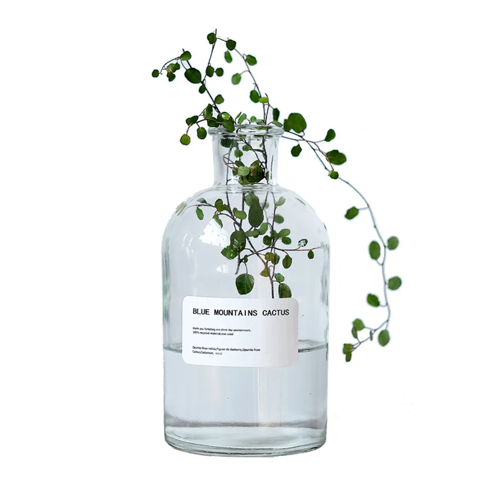 Бесплатная доставка Стекло Бутылка Контейнер для хранения элегантность