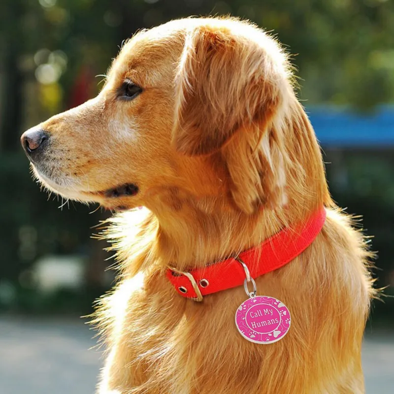 Подвеска для собак с защитой от потери бирка из нержавеющей стали Именные Бирки