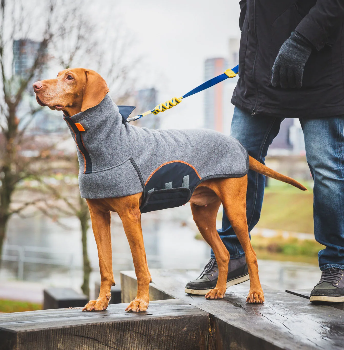 

fashion design flannel warm and comfortable high collar design dog coat jacket