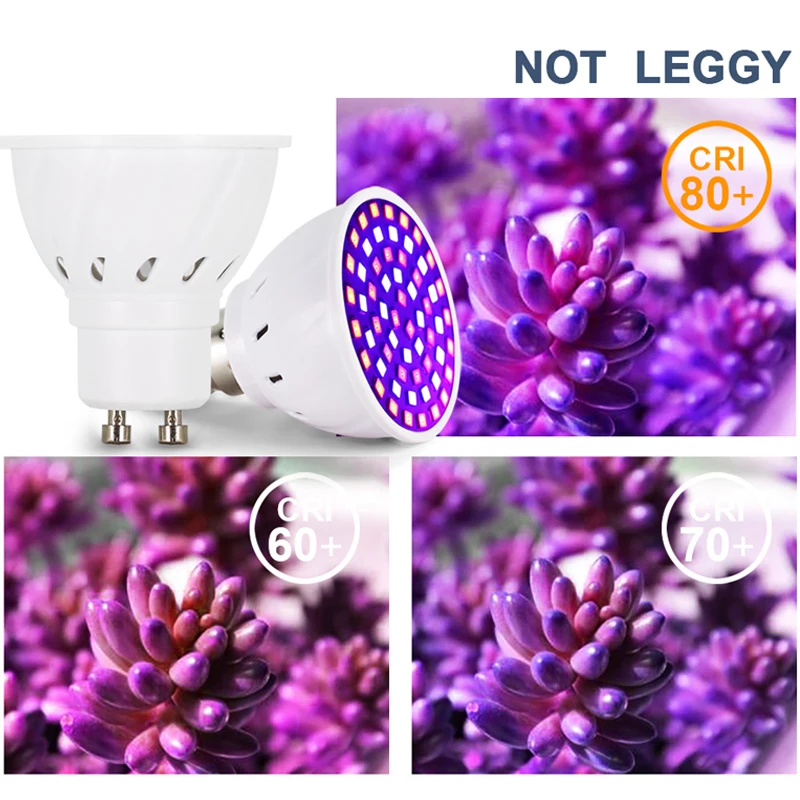 

220V LED Plant fill lamp Grow Light E27 B22 E14 GU10 Full Spectrum Plant growing bulb for indoor plant cultivation lighting lamp