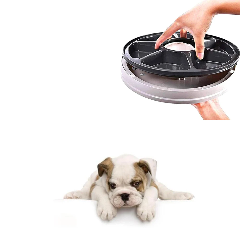 Автоматическая кормушка с таймером для домашних животных автоматический