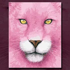 Набор для творчества Oliever Boom, холст, Декор, рама, краска ByNumber Vos, подарок, домашний декор, ручная работа, настенное Искусство 40x50 см, животное